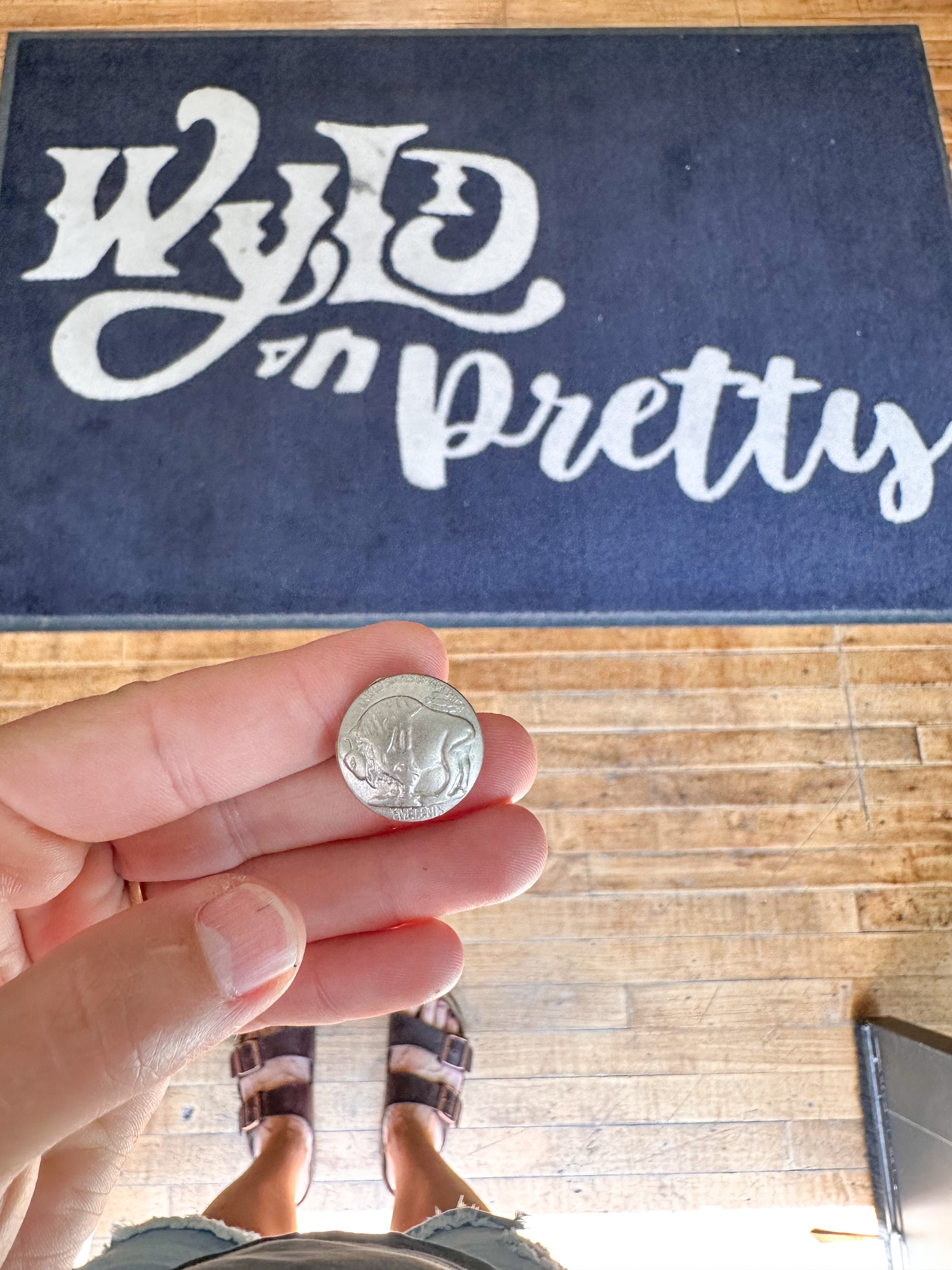 Concho Decorative Pin